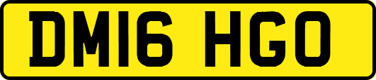 DM16HGO