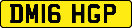 DM16HGP