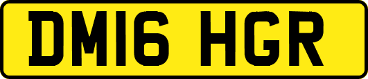 DM16HGR