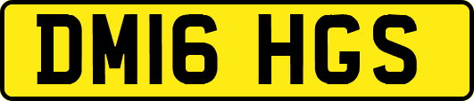 DM16HGS