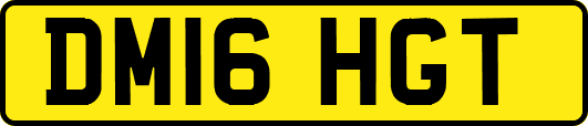 DM16HGT
