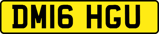 DM16HGU