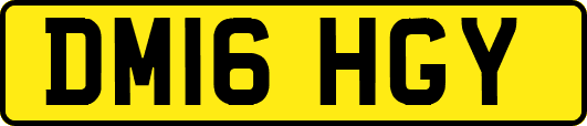 DM16HGY
