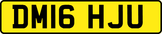 DM16HJU