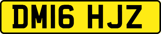 DM16HJZ