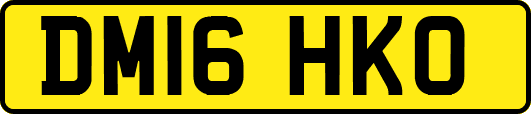 DM16HKO