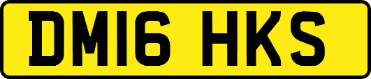 DM16HKS