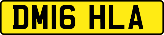 DM16HLA