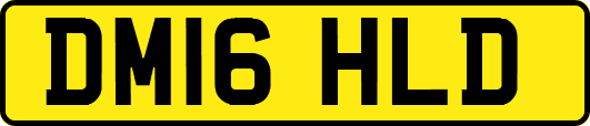DM16HLD