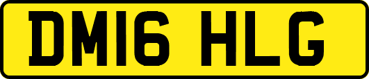 DM16HLG