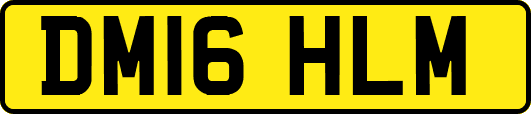 DM16HLM