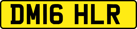DM16HLR