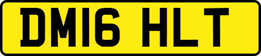 DM16HLT