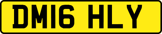DM16HLY