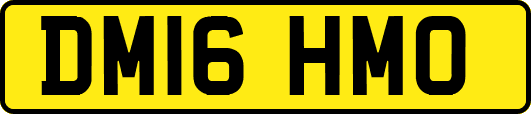 DM16HMO