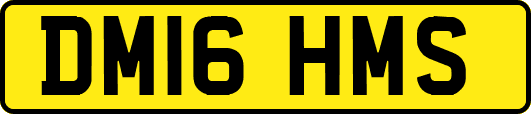 DM16HMS