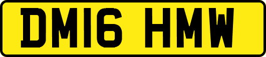 DM16HMW