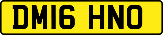 DM16HNO