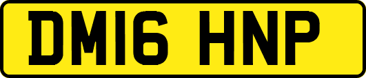 DM16HNP