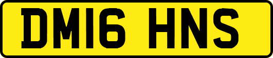 DM16HNS