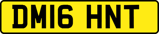 DM16HNT