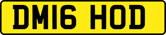 DM16HOD