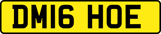 DM16HOE