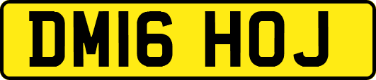 DM16HOJ