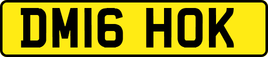 DM16HOK