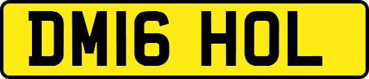 DM16HOL