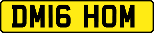 DM16HOM