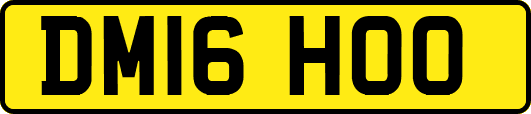 DM16HOO