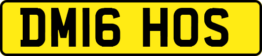 DM16HOS