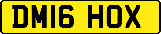 DM16HOX