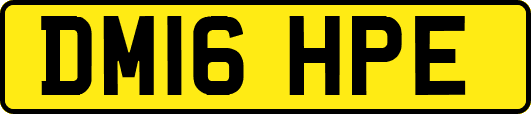 DM16HPE