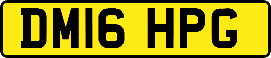 DM16HPG