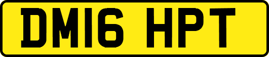 DM16HPT