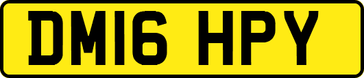 DM16HPY