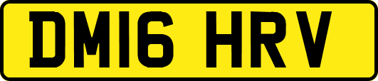 DM16HRV