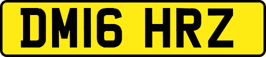 DM16HRZ