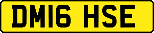DM16HSE
