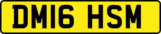 DM16HSM