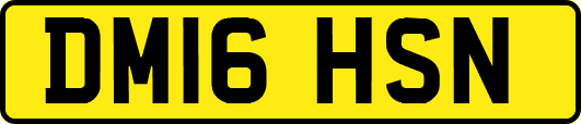 DM16HSN