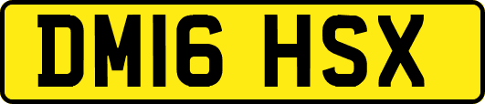 DM16HSX