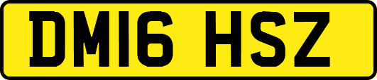 DM16HSZ