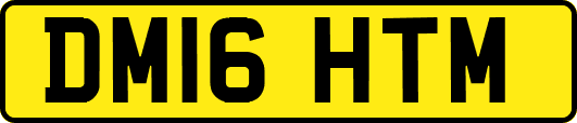 DM16HTM