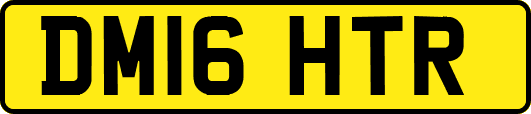 DM16HTR