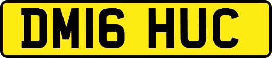 DM16HUC