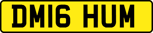 DM16HUM