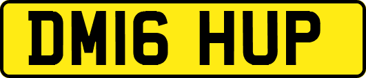 DM16HUP